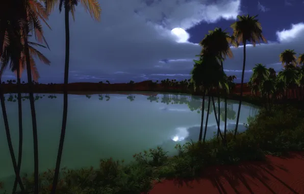 Night, lake, palm trees, the moon, oasis