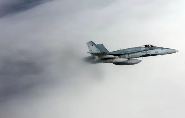 Picture weapons, the plane, CF-18 Hornet, Royal Canadian Air Force