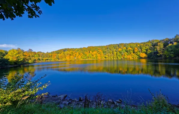 Picture autumn, river, Germany, Elm