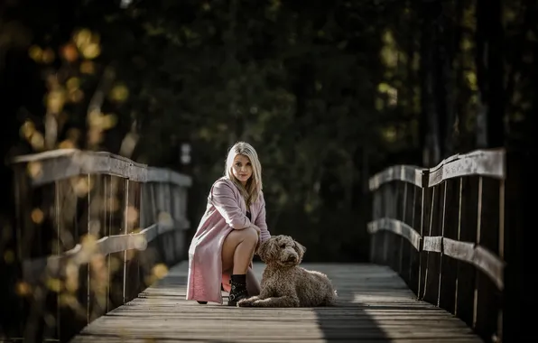 Picture girl, bridge, dog