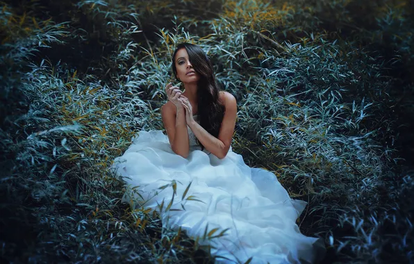 Forest, eyes, girl, hair, Bush, lips, white dress