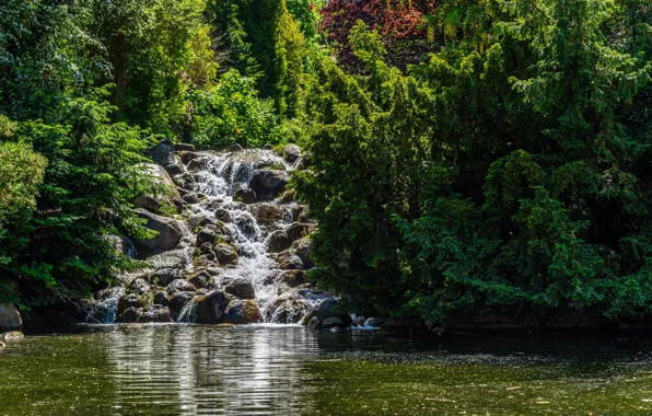 Picture greens, the sun, trees, pond, Park, stones, waterfall, Germany