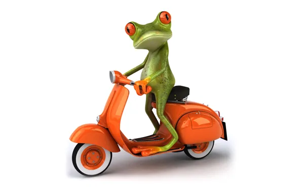 Transport, graphics, frog, moped, Free frog 3d