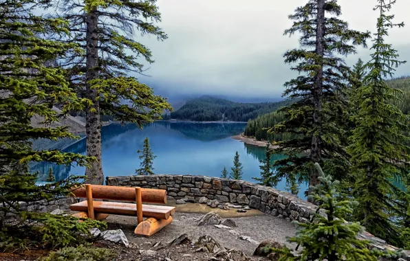 Picture trees, bench, lake, ate, Banff National Park, Lake Moraine