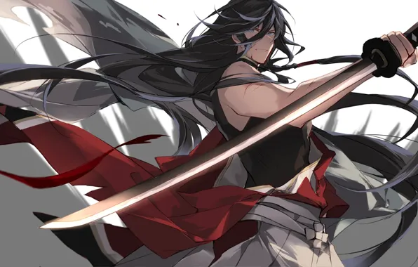 Sword, anime, art, guy, Touken ranbu, Dance Of Swords