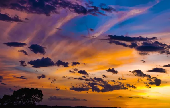 Picture the sky, clouds, sunset, tree