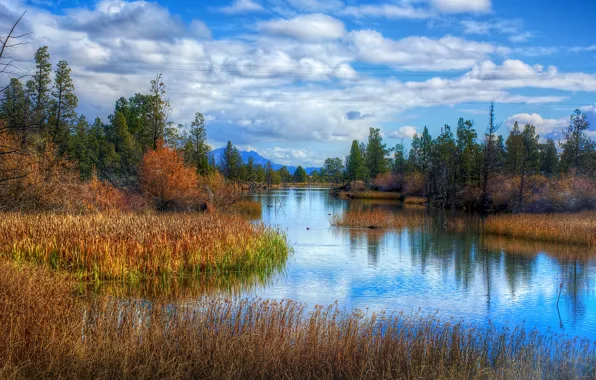 Picture photo, The sky, Nature, River, Landscape