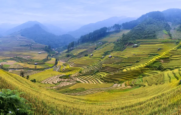 Hills, field, houses