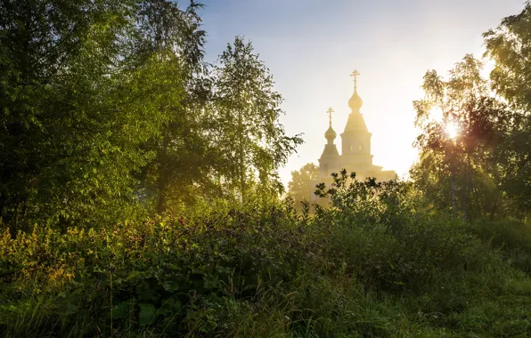 Summer, grass, trees, nature, morning, Church