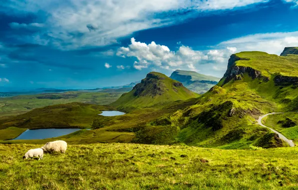 Landscape, mountains, nature, island, sheep, Scotland, meadows, lake