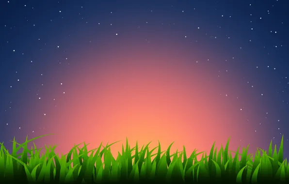 Picture grass, stars, sunset