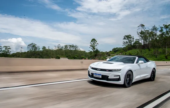 Picture Chevrolet, Camaro, white, muscle car, Chevrolet Camaro SS Convertible