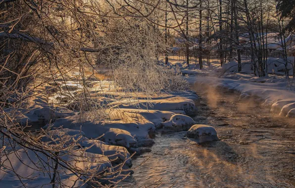 Winter, frost, snow, trees, river