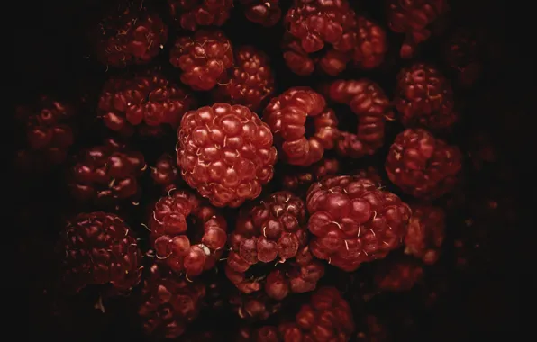 Red, berries, raspberry, black