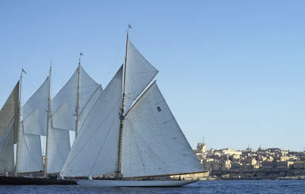 Sea, water, shore, buildings, sails, bank, sail, sailboat