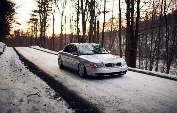 Picture forest, snow, Audi, Audi, silver, stance, Doroga