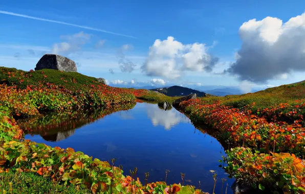 Leaves, water, clouds, mountains, lake, reflection, plants