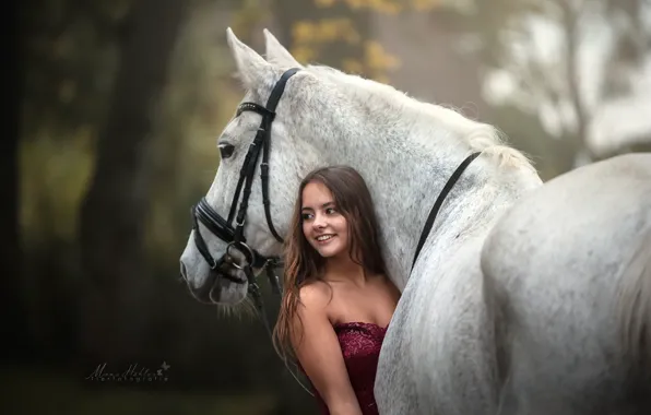 Picture girl, horse, horse