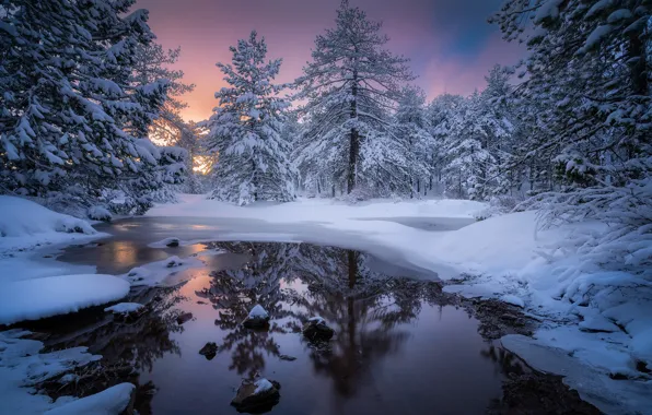 Winter, forest, snow, trees, sunset, river, Cyprus