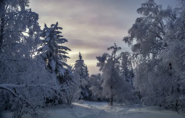 Picture winter, snow, national Park, Taganay, Black rock