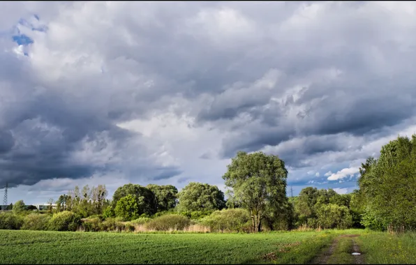 Field, the sky, clouds, trees, Nature, trail, sky, trees