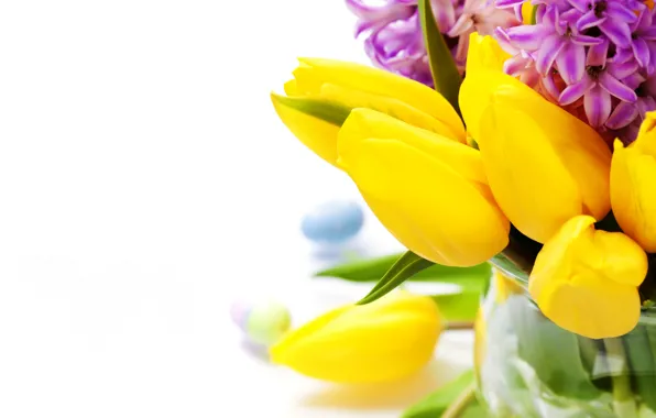 Photo, Flowers, Tulips, Closeup, Hyacinths