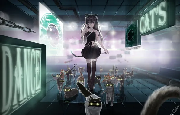 Cat, girl, art, neko, lepus