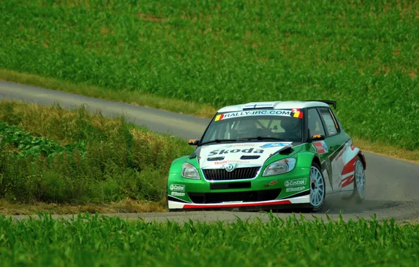 Auto, Grass, Green, Machine, Lights, Rally, Skoda, Fabia