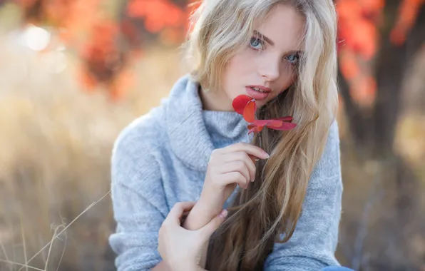 Picture autumn, leaves, girl