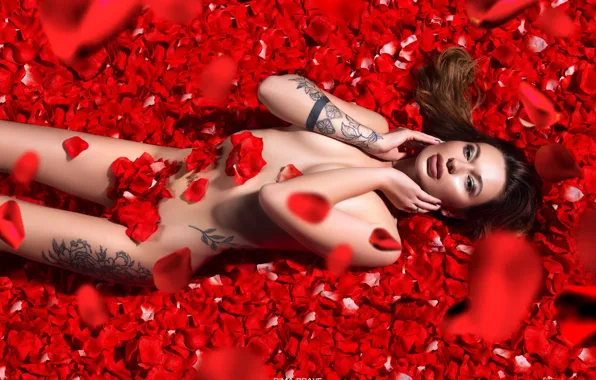 Girl, sexy, legs, boobs, breast, photographer, model, tattoo