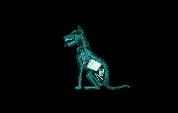 Picture Dog, background, fun, funny, pencil, black background, situation, books