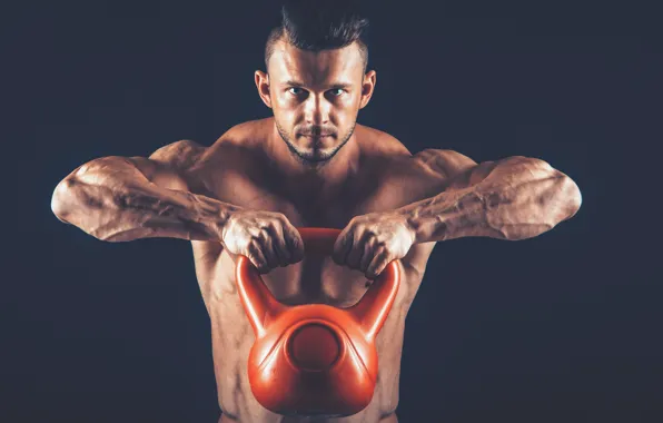 Muscle, muscle, weight, training, athlete, workout, workout, bodybuilder