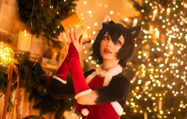 Cat, decoration, gift, candle, costume, outfit, New year, image