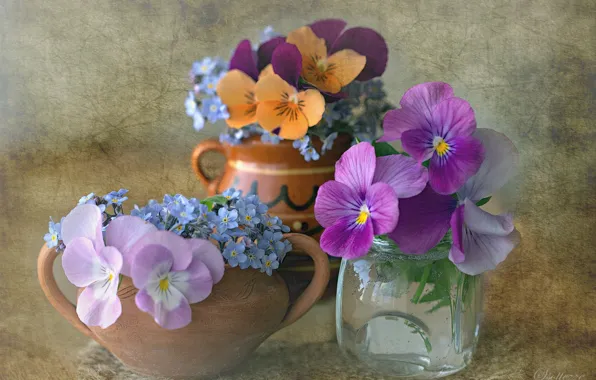 Picture pot, still life, Pansy, a bunch