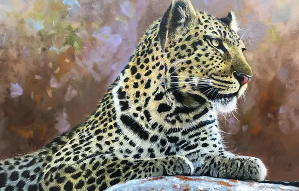 Picture Leopard, Look, Picture, Face, Predator, Big cat, British animal artist, Pip McGarry