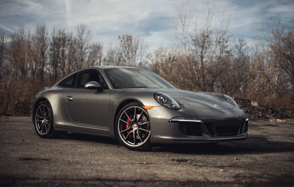 Picture 911, Porsche, Porsche, 2014