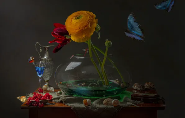 Butterfly, flowers, Tulip, aquarium, bouquet, still life, red, currants