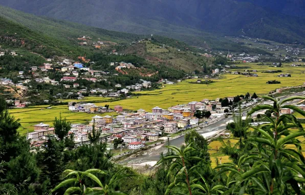 Mountain, valley, Kingdom, Himalaya, Western Bhutan, Paro