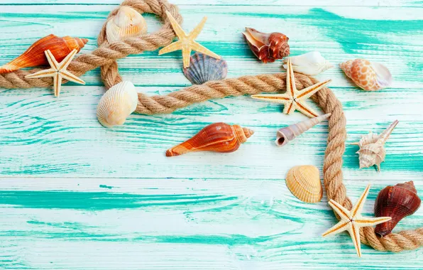 Beach, summer, stars, shell, summer, beach, wood, stars