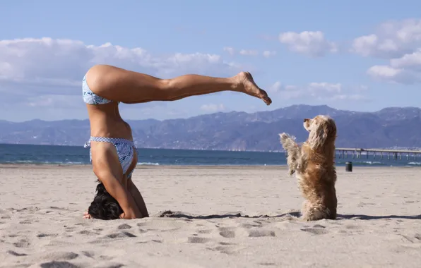 Dog, sand, pose, bikini, yoga