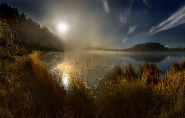 Picture autumn, sunset, fog, lake