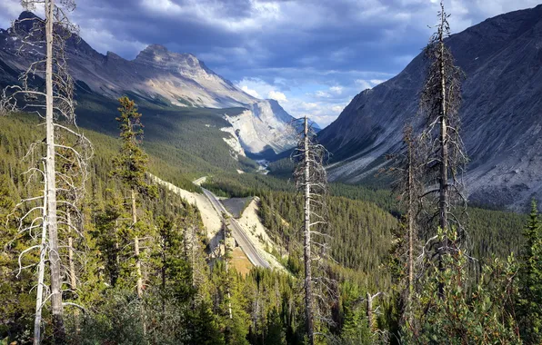 Road, landscape, mountains