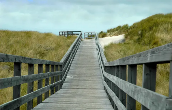 Grass, beach, wood, wind, cloudy, boardwalk