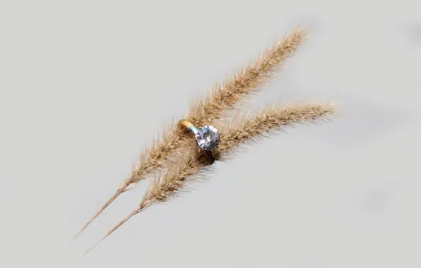 Picture background, spikelets, ring, diamond