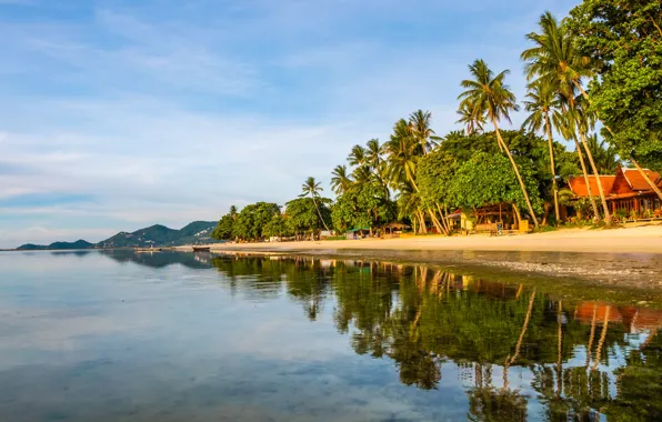 Sand, sea, beach, summer, the sky, the sun, palm trees, shore
