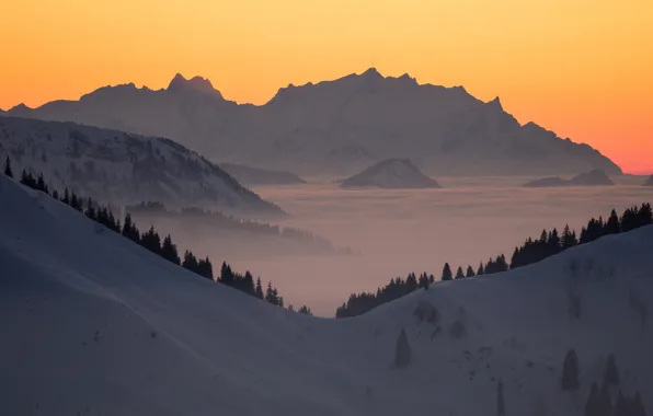 Snow, trees, mountains, sunrise, dawn, Germany, Bayern, Germany
