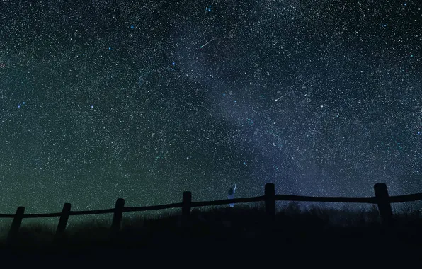 The sky, girl, stars, night, the fence, anime, art, mutsuki hikari
