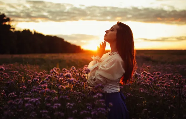 Picture girl, sunset, nature, pose, mood, meadow, Egor Konobevtsev