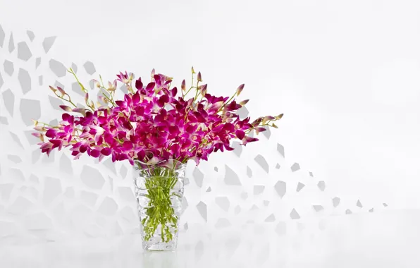 Flowers, bouquet, vase, Purple, orchids, Vase, Orchids