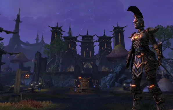 Picture the city, warrior, The Elder Scrolls Online, Night